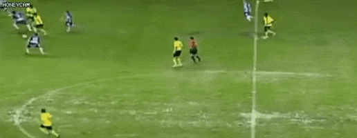 gogm giphyupload GIF