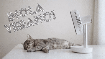 ¡Hola Verano!