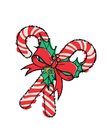 Candy Canes Christmas Sticker by Coach