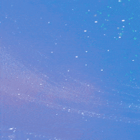 Pink No GIF by ArmyPink