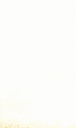 GIF animado