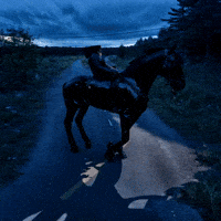 Bg Network GIF by Aleksey Efremov