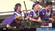 ncaasports ncaa softball tigers lsu GIF