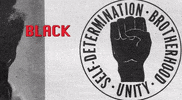 Kent State Black History Month GIF by GIPHY News