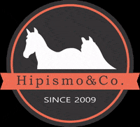 JotaDesign cavalos hipismo hipismoeco GIF