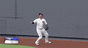 New York Yankees Baseball GIF by Jomboy Media