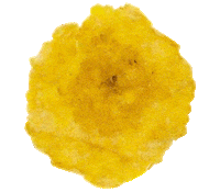 chiflarsnacks snack crunch snacktime crunchy Sticker