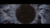 Out Of This World GIF by Amber Mark
