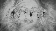 new album beyonce GIF by Vulture.com