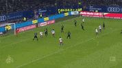 save timo horn GIF by 1. FC Köln