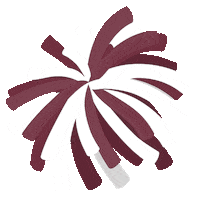 Mississippi State Bulldogs Sticker by College Colors Day