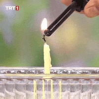 Celebrate Happy Birthday GIF by TRT