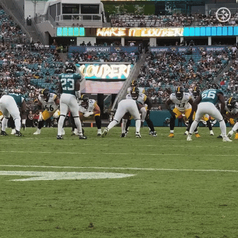 Nfl Touchdown GIF by Pittsburgh Steelers