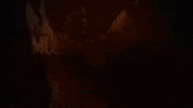 muhammad ali GIF by HBO