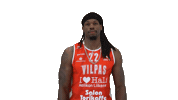 Sport Basketball Sticker by Basket_fi