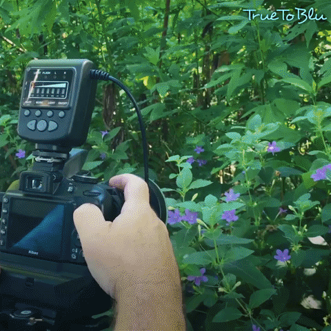 ReallyBilly giphygifmaker GIF