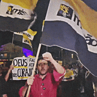 Flag Politics GIF