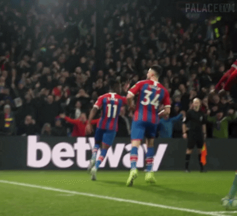 Premier League Football GIF by CPFC