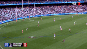 2018 season football GIF by AFL