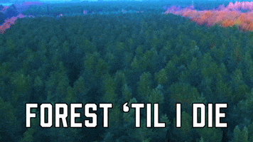 Forest 'Til I Die