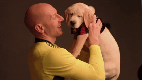 Dog Soccer GIF by Atlanta United