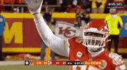 Kansas City Chiefs Football GIF by NFL