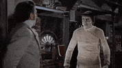 christopher lee fight GIF by Warner Archive