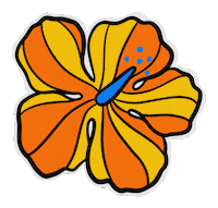 Hawaii Aloha Sticker by ERICA824