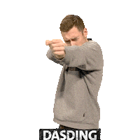 Shooting Robin Hood Sticker by DASDING