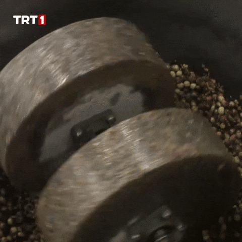 Reverse Go Back GIF by TRT