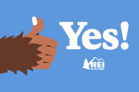 Yas Yes GIF by REI