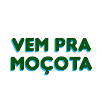 Capivara Cacapava Sticker by Caçapava Oficial