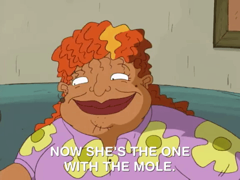 rocket power nicksplat GIF