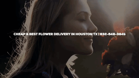 best flower delivery in houston GIF