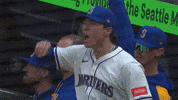 Celebrate Lets Go GIF by MLB