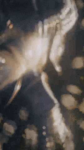 Sad Trending GIF