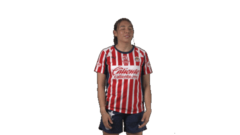 Liga Mx Futbol Sticker by Chivas Oficial