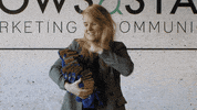 cowsandstars spending money cowsandstars cowsstars cows and stars GIF