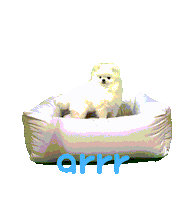 아르르 Sticker by arrr_official