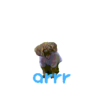 아르르 Sticker by arrr_official