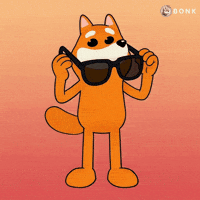 Sunglasses Red Background GIF by BONK