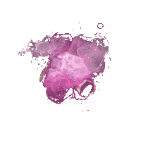 Pink Paint Sticker by moonproject