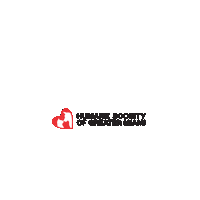 Adopt Dont Shop Alum Sticker by Humane Society Miami