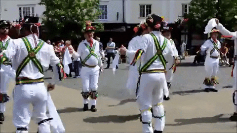 Aynsley_Broom giphygifmaker GIF