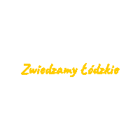 Zmieniamylodzkie Sticker by Aplan Media