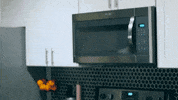 AlexDiazAD1 alex diaz tonita alexdiazad GIF