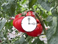 PLANBE  GIF