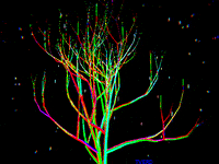 animation loop GIF by tverd