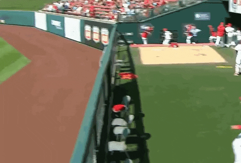 Shyzer giphyupload baseball cardinals omw GIF