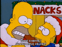 Season 1 GIF by The Simpsons